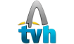 TV Digital Logo